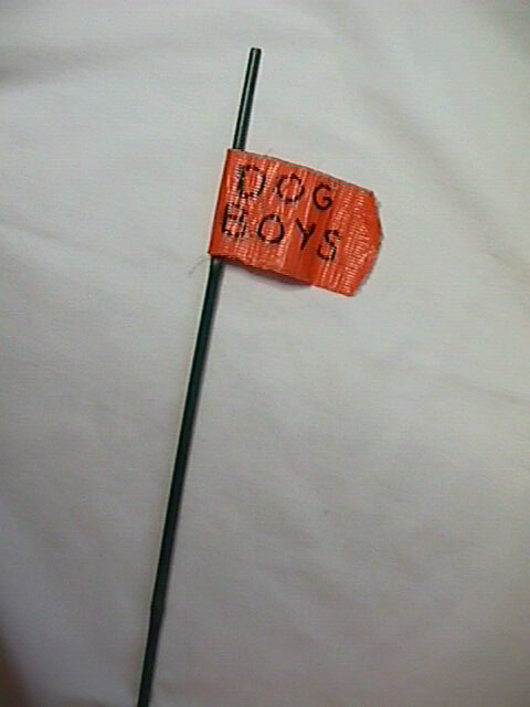 wand2.jpg (77792 bytes)